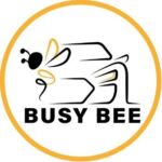 Busy bee car cleaning